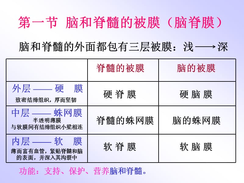 脑脊髓被膜、血管 ppt课件.ppt_第2页