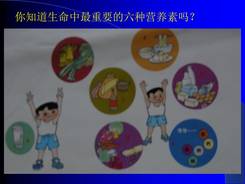 提供能量与营养的食物.ppt_第2页