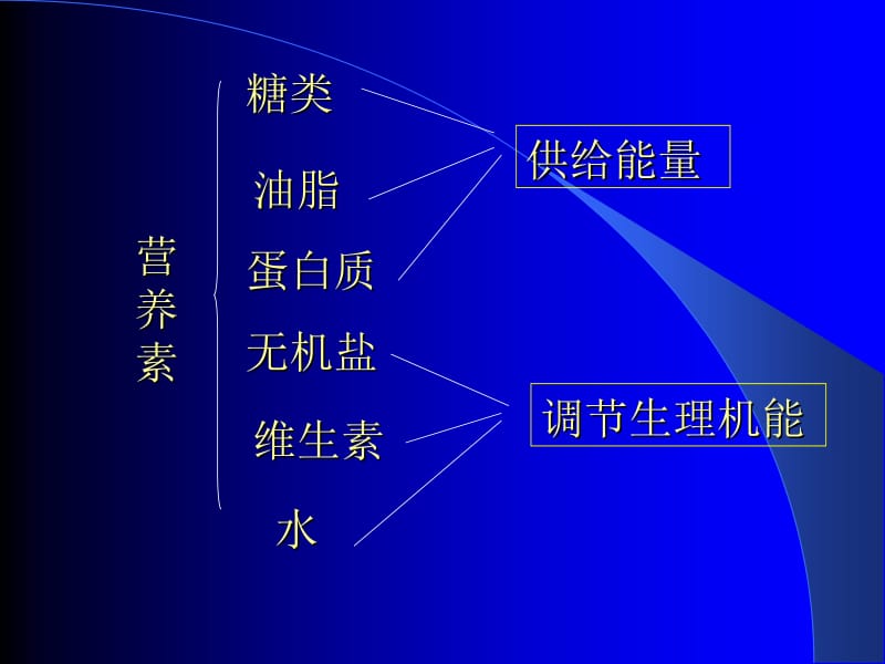 提供能量与营养的食物.ppt_第3页