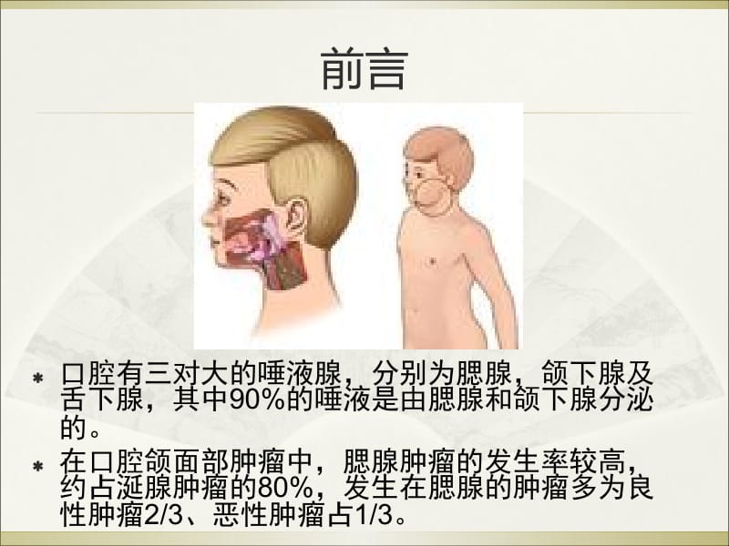 腮腺肿瘤 ppt课件.ppt_第2页