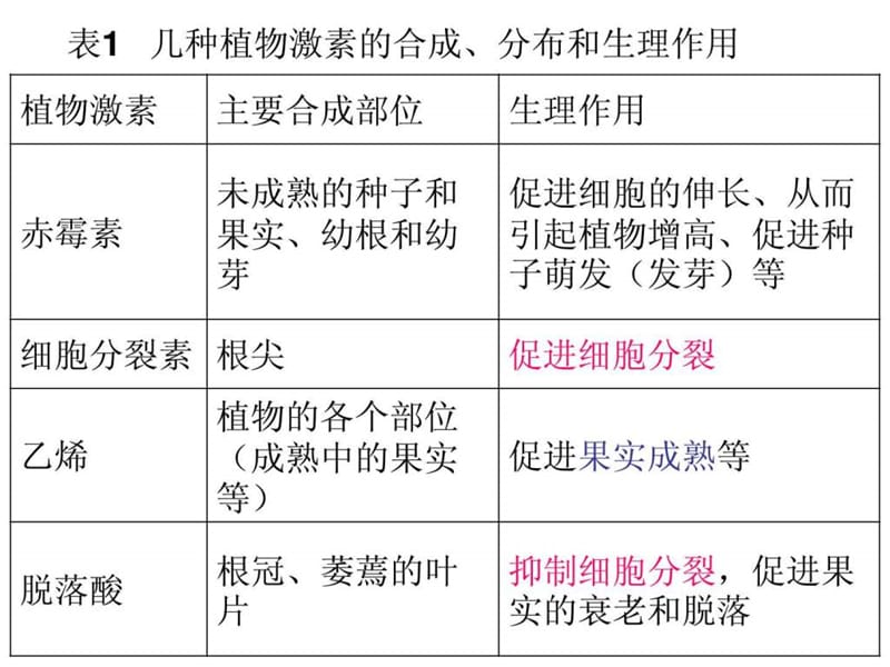 探索生长素类似物促进插条生根的最适浓度.ppt.ppt_第1页