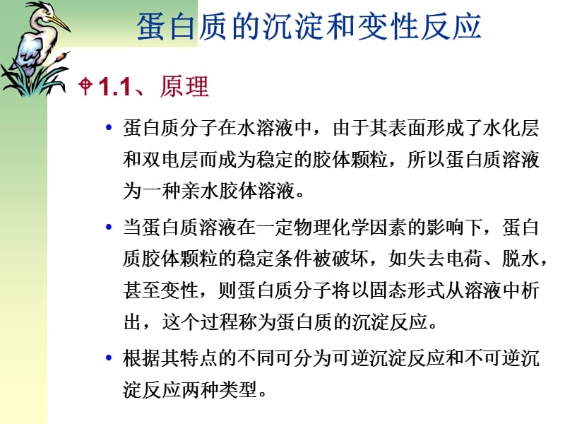 浙江大学生物化学实验甲 蛋白质的沉淀和变性反应.ppt_第1页