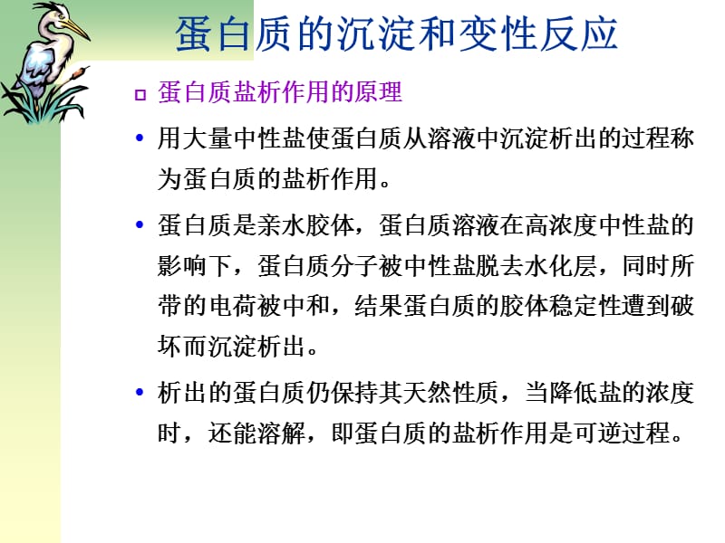 浙江大学生物化学实验甲 蛋白质的沉淀和变性反应.ppt_第3页