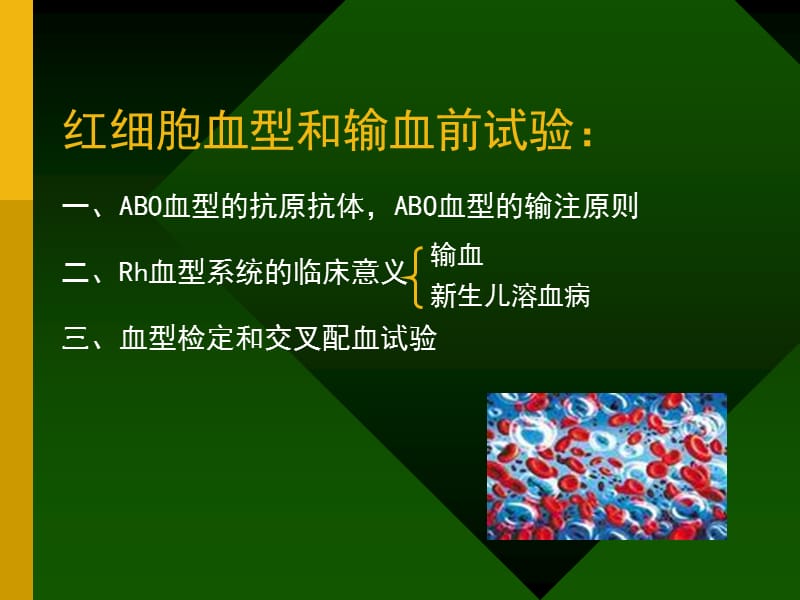 输血Transfusionppt课件.ppt_第2页