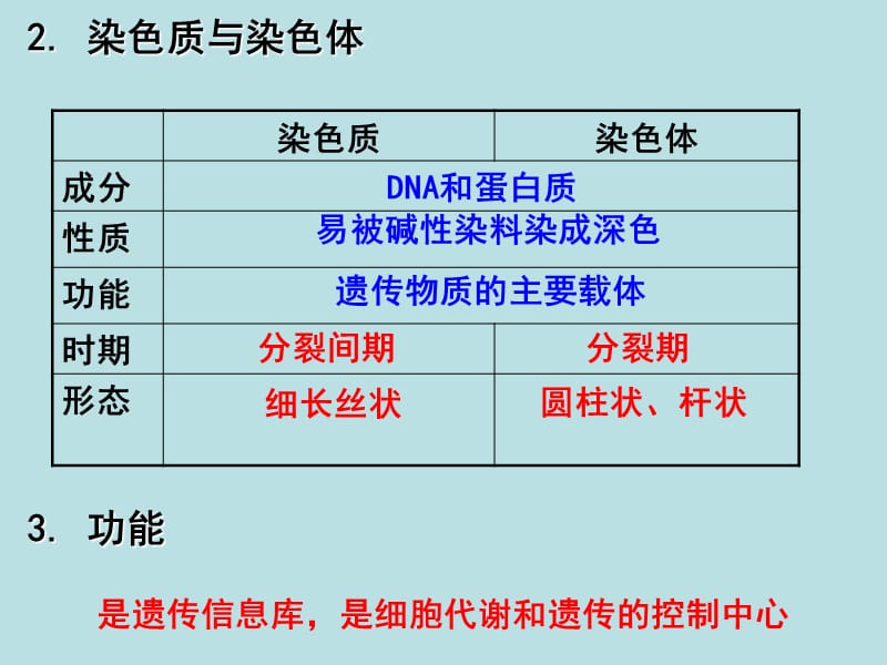 细胞的构造.ppt_第3页