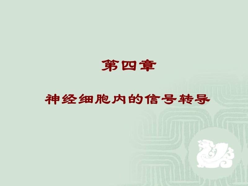 神经细胞内的信号转导.ppt_第2页