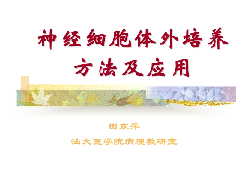 神经细胞体外培养方法及应用.ppt_第1页