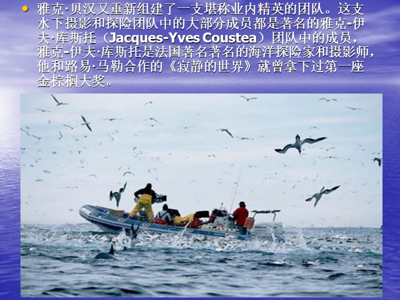 神奇的海洋生物.ppt_第3页