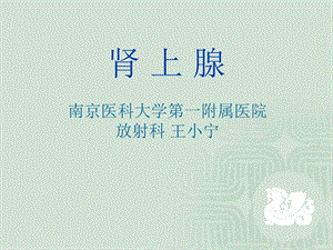 肾上腺影像学表现.ppt