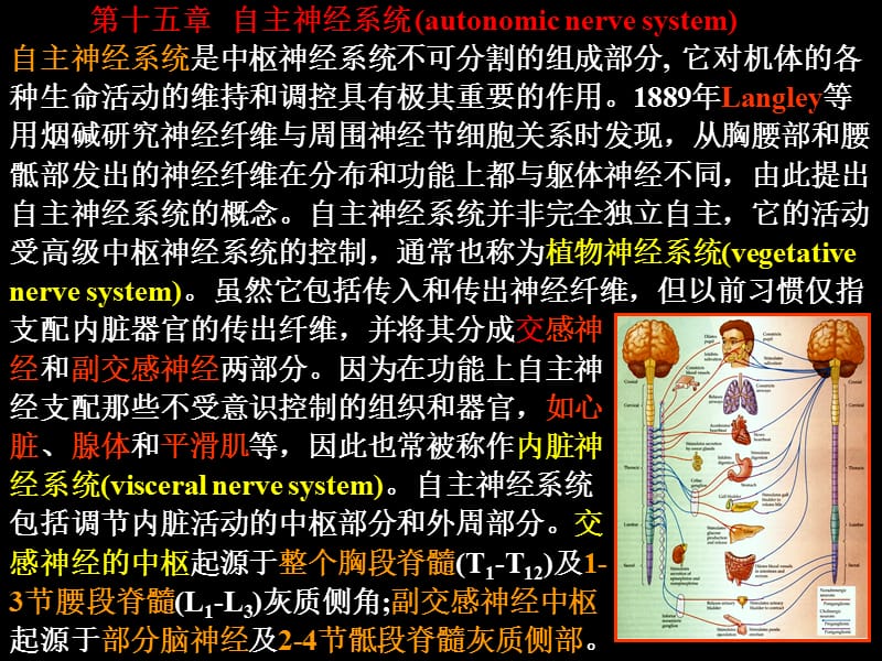 神经生物学十五十六ppt课件.ppt_第1页