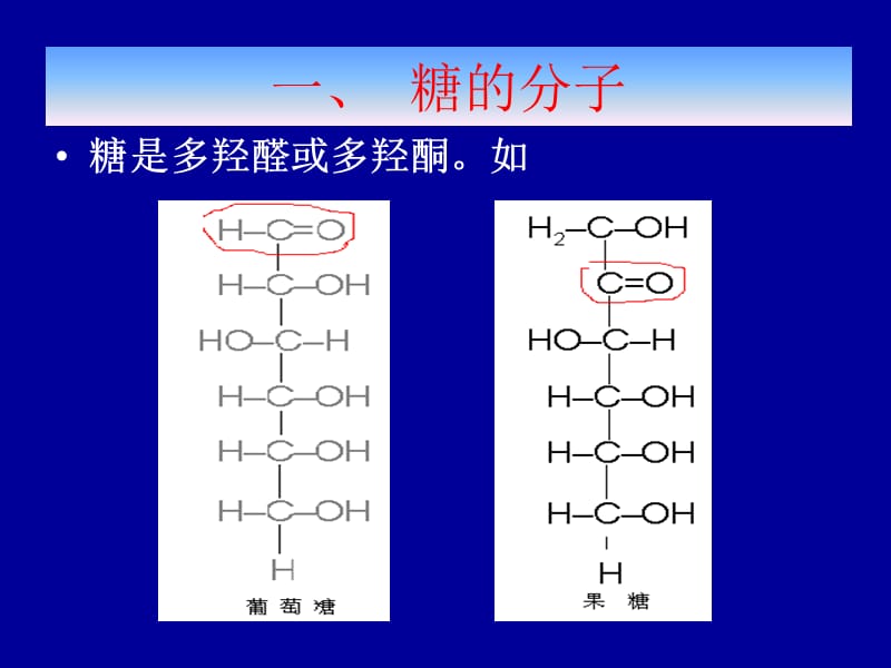 糖的无氧代谢.ppt_第2页