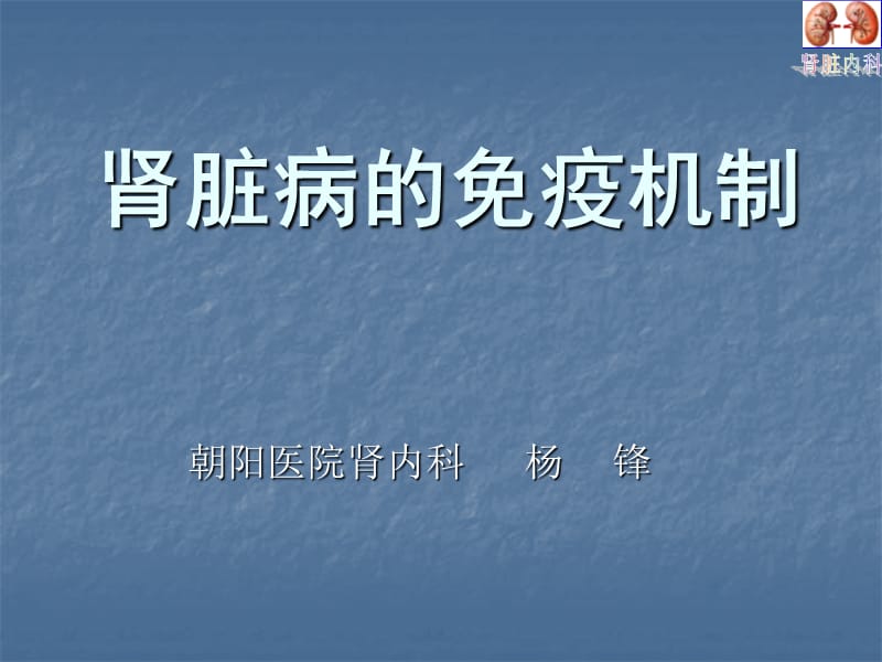 肾脏病的免疫机制 2012-4-25 杨锋.ppt_第1页