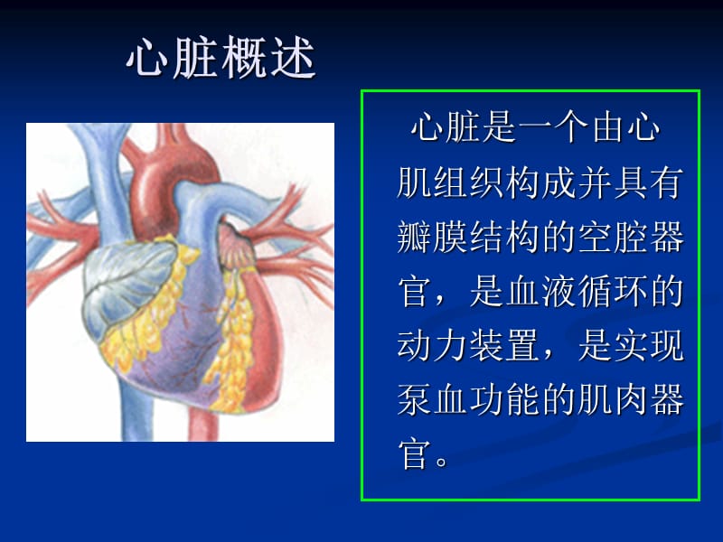 心电图的测试与分析.ppt_第2页