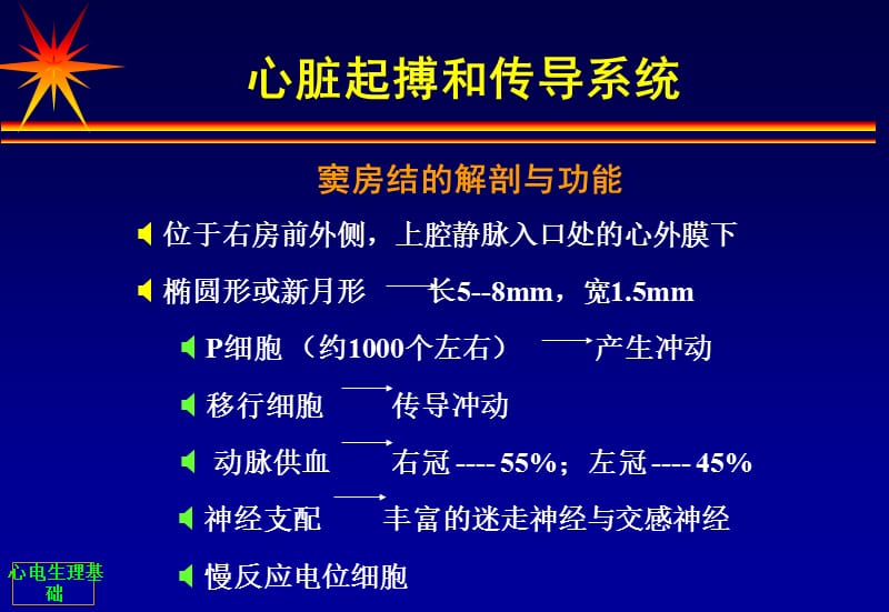 心脏电生理基础.ppt_第3页