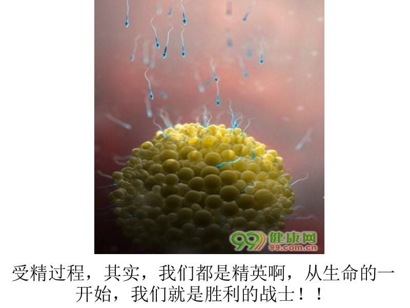 新生儿每周变化.ppt_第3页