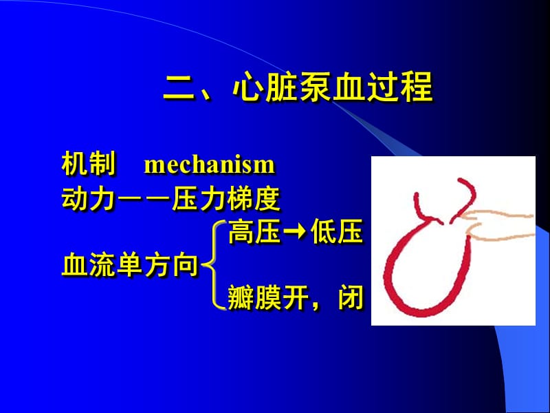 心脏泵血3.ppt_第3页