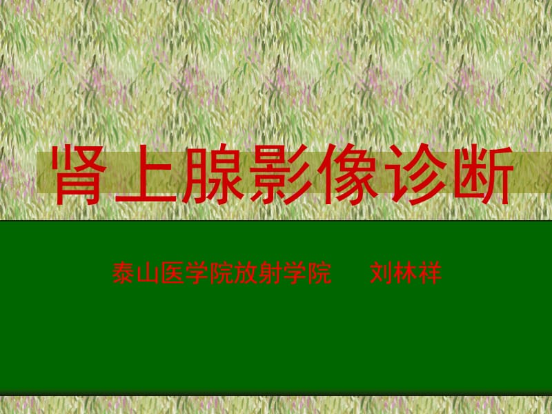 肾上腺影像诊断.ppt_第1页