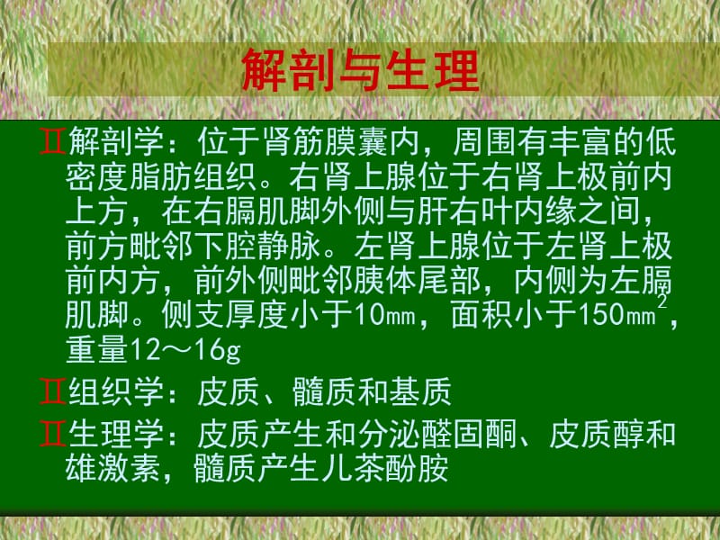 肾上腺影像诊断.ppt_第2页