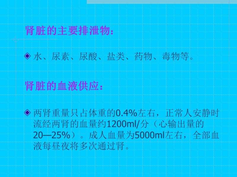 肾脏病的营养与保健措施.ppt_第3页