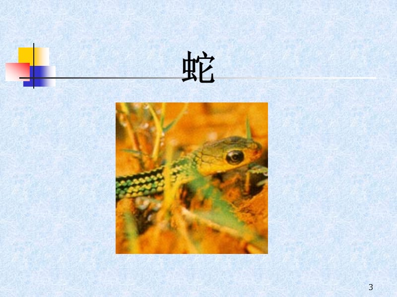 蛇 毒蛇 蛇毒.ppt_第3页