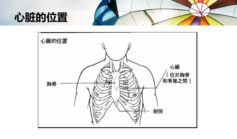 心肺复苏术(杨喜和).ppt_第2页