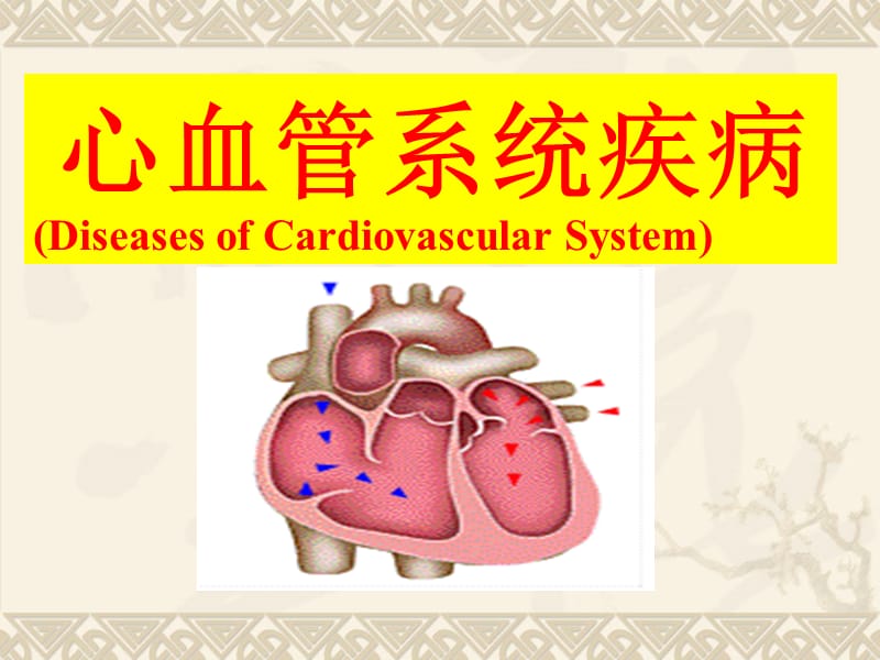 心血管1-风湿病、心瓣膜病.ppt_第1页