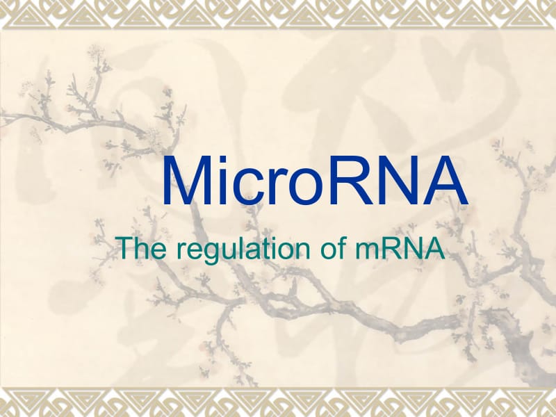 最新研究microRNA讲义PPT课件.ppt_第1页