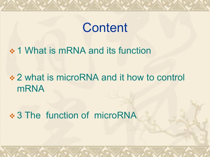 最新研究microRNA讲义PPT课件.ppt_第2页