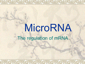 最新研究microRNA讲义PPT课件.ppt
