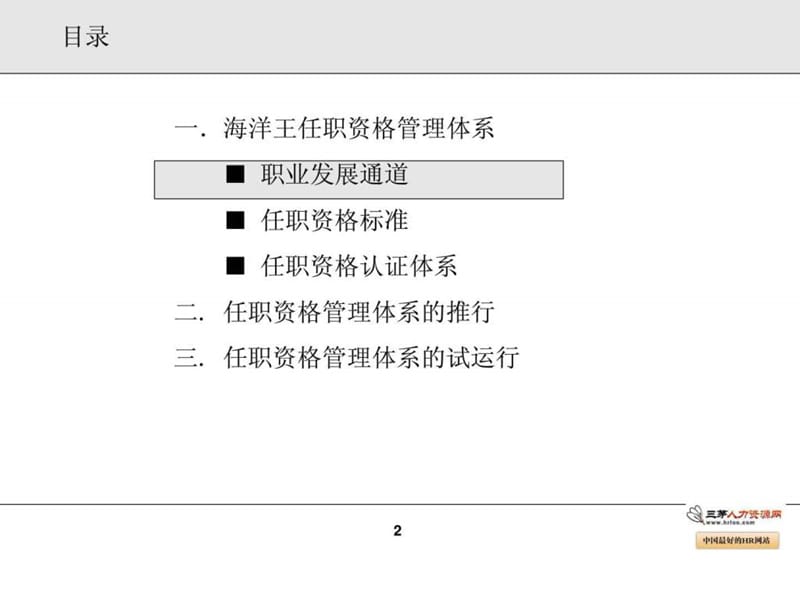 公司任职资格管理体系介绍及试运行办法.ppt_第2页