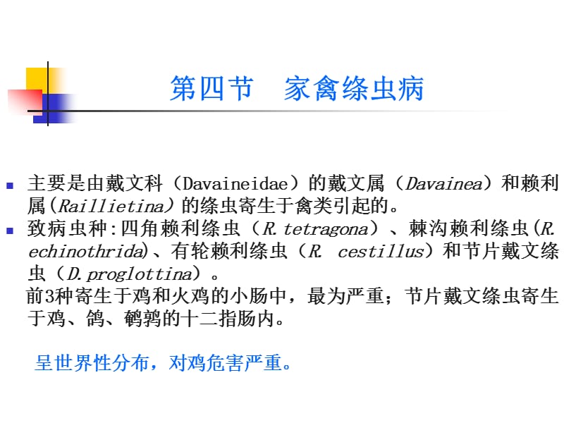 绦虫病 家禽绦虫病.ppt_第1页