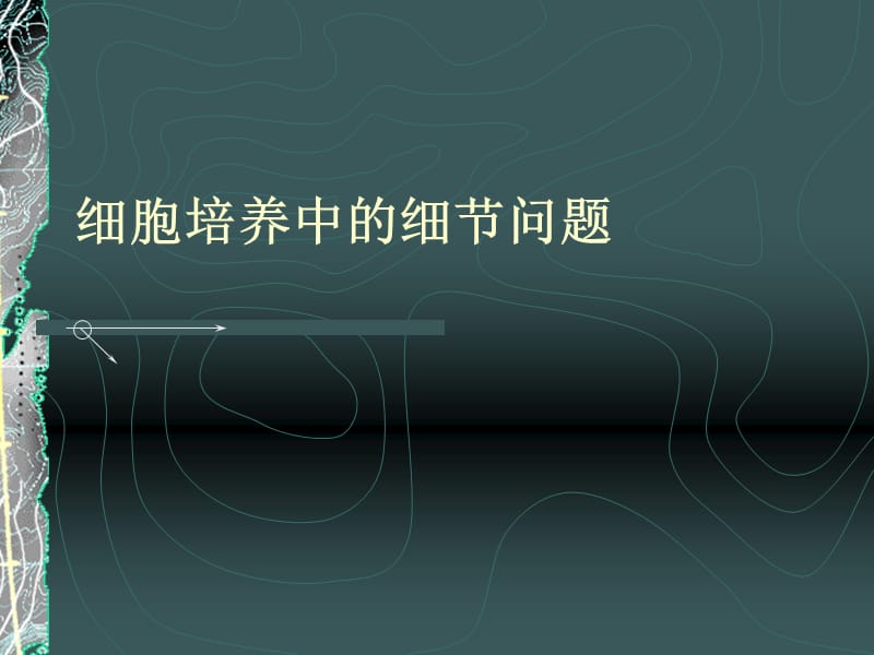 细胞培养中的细节问题.ppt_第1页