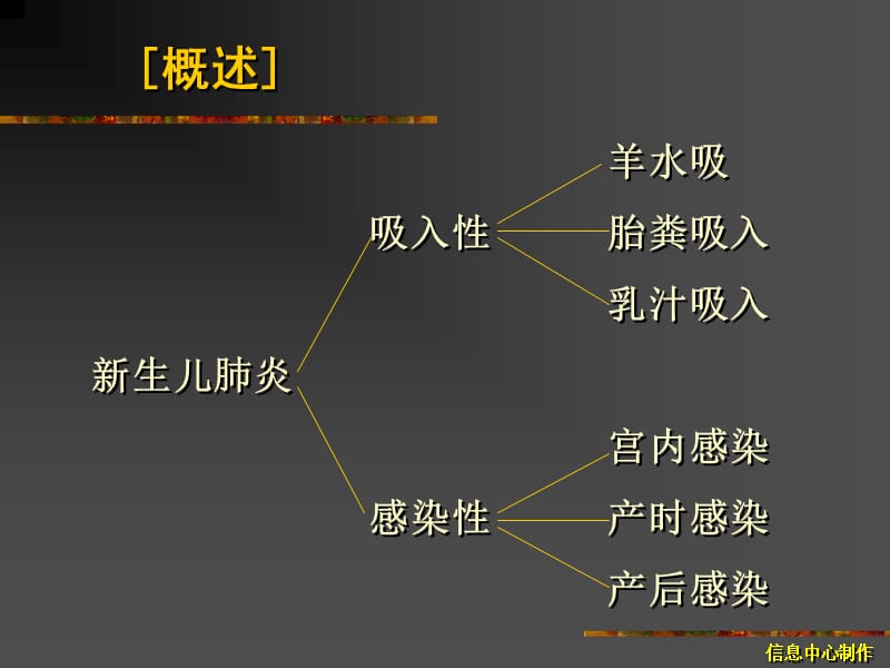 新生儿肺炎理论课件.ppt_第2页