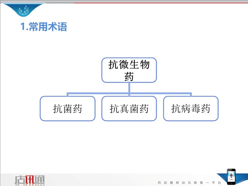 执业药师必看课程之抗生素篇(店讯通).ppt_第3页