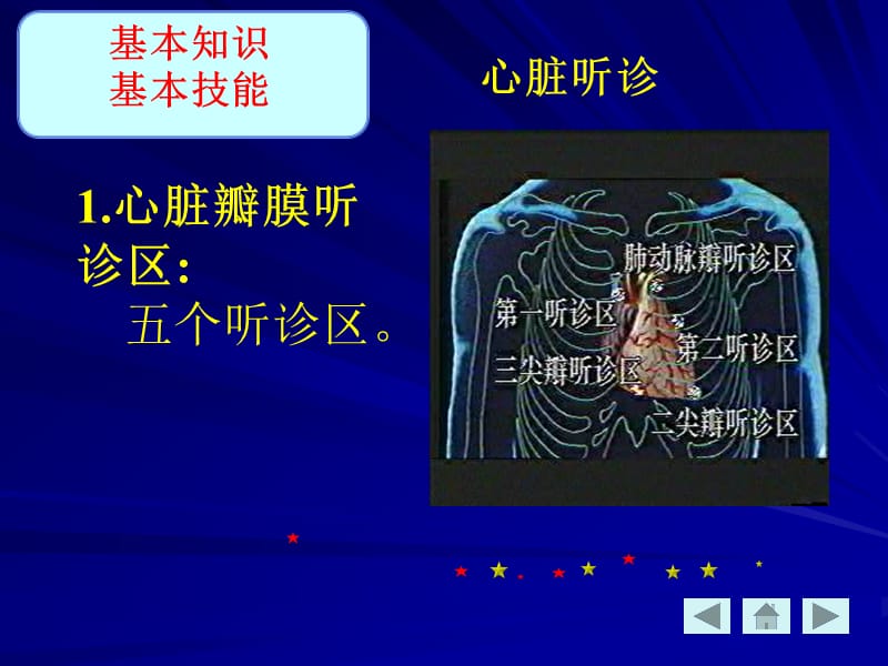 心脏检查2.ppt_第3页