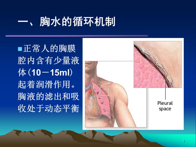 胸腔积液PleuralEffusion.ppt_第3页