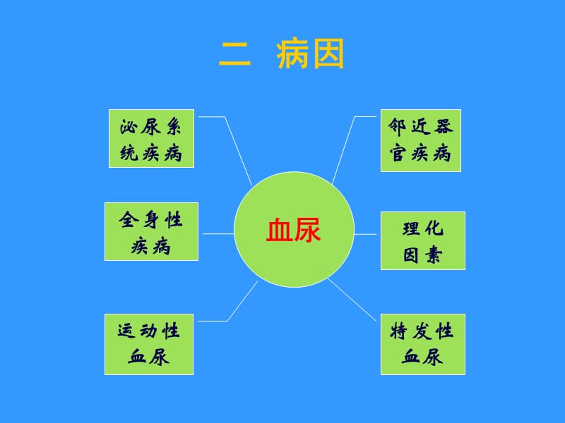 血尿Haematuria.ppt_第3页