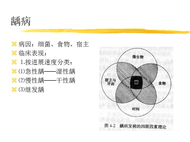 牙体常见病.ppt_第3页