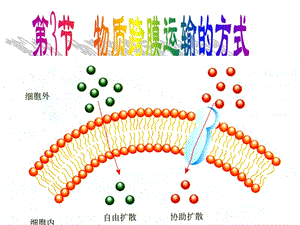 细胞膜的结构特点和功能特点分别是什么.ppt