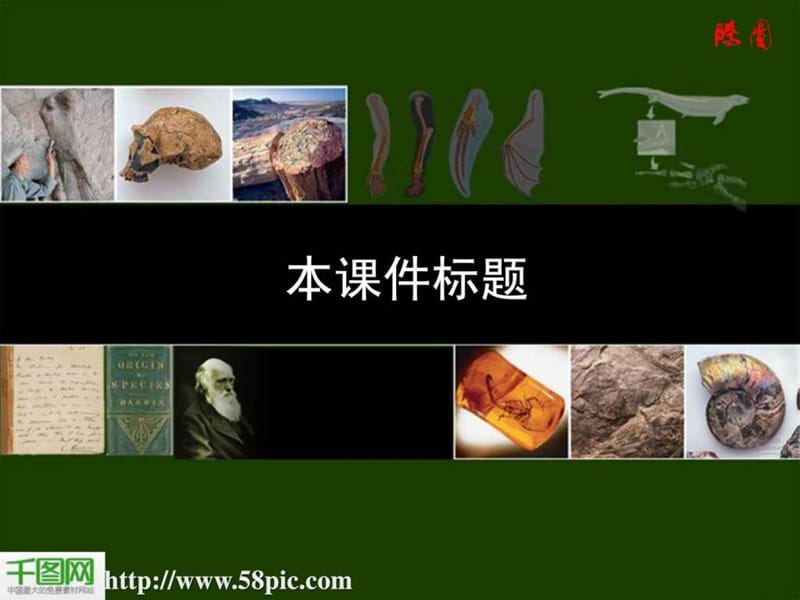 初中生物ppt课件-进化.ppt_第1页