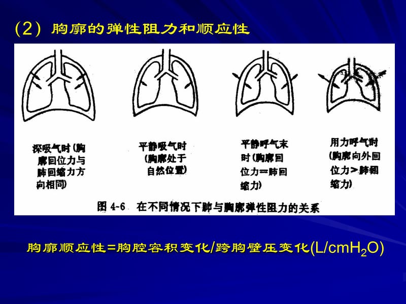 胸廓的弹性阻力和顺应性.ppt_第1页