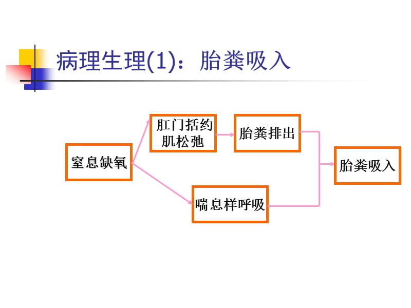 胎粪吸入综合征副本 2.ppt_第3页