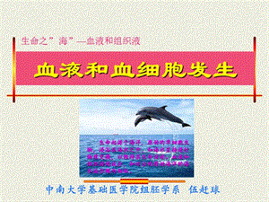 血液及血发生2011ppt课件.ppt