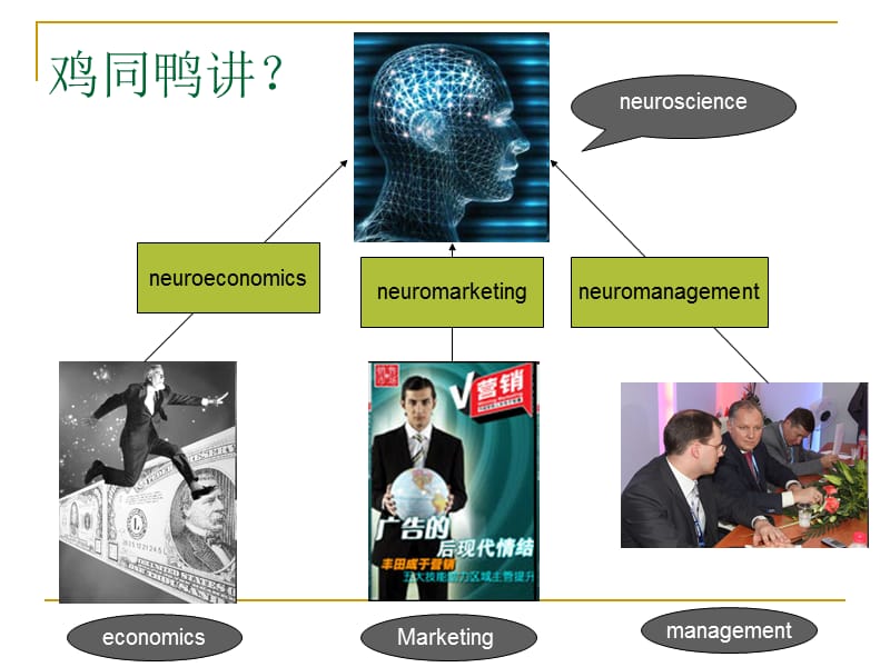 神经经济学：决策与大脑.ppt_第3页