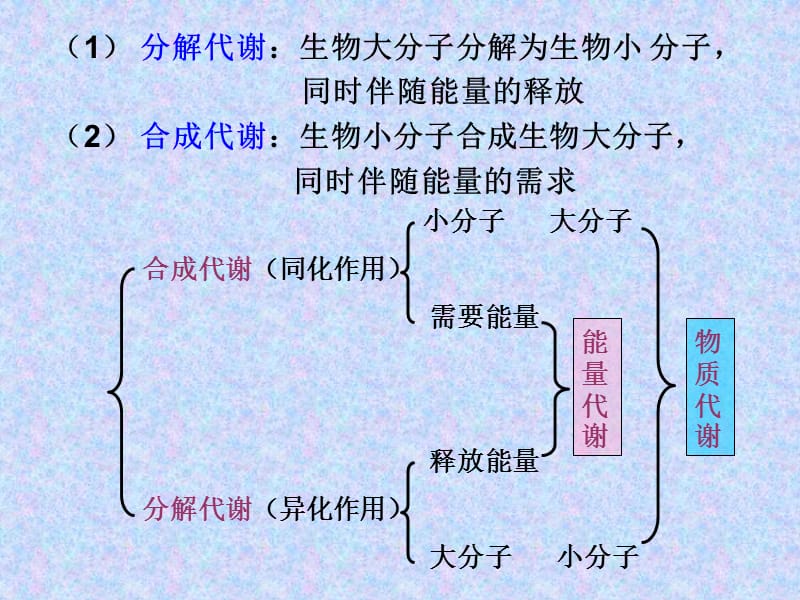 新陈代谢引.ppt_第2页