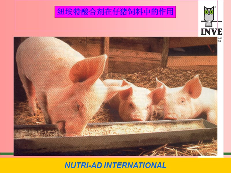 酸化剂在仔猪饲料中的作用.ppt_第3页