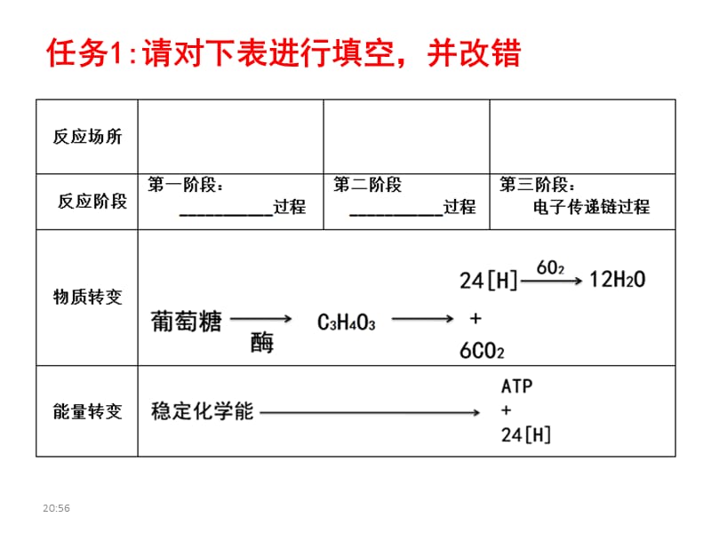 细胞呼吸专题.ppt_第3页