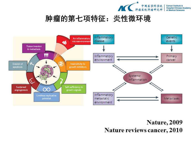 血清microRNA作为肝功能损伤生物标志物的研究课件.ppt_第3页