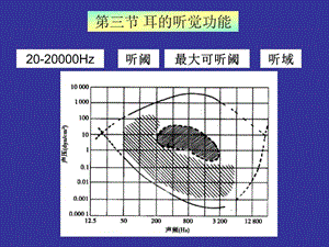 神经生物学 听觉.ppt