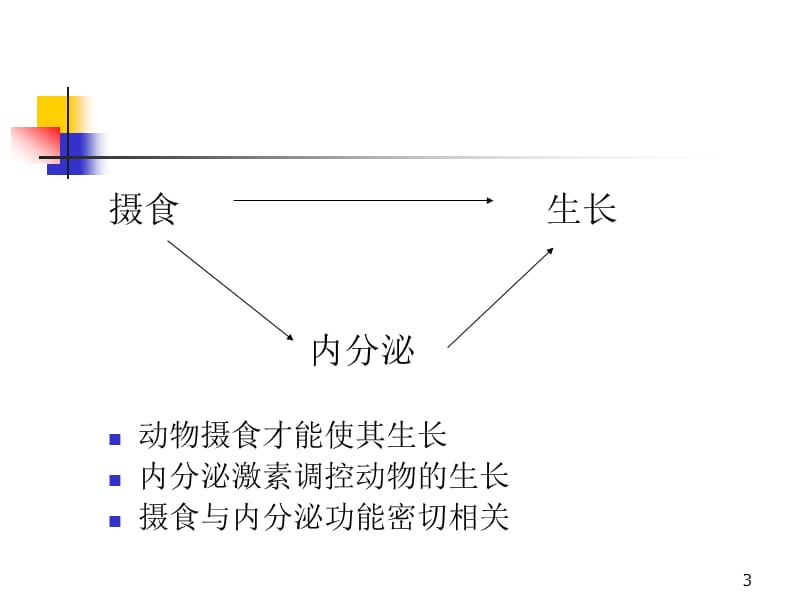 营养与内分泌激素.ppt_第3页